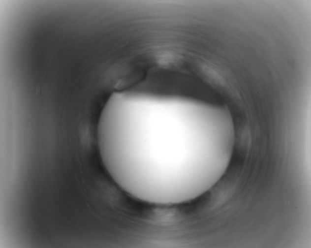 X0000088640272200706011208