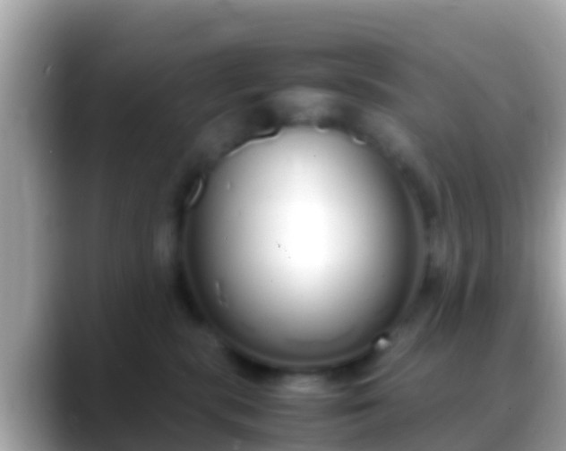 X0000088640283200706011208