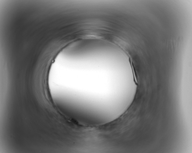 X0000088640289200706011208