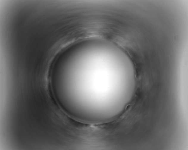 X0000088640290200706011208