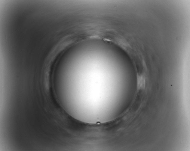 X0000088640291200706011208