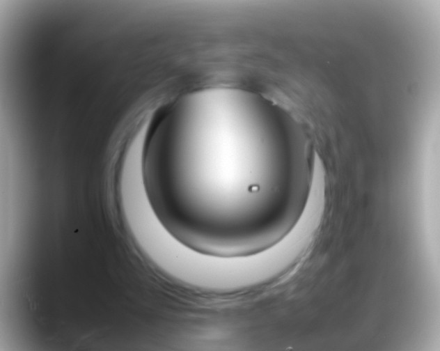 X0000088640293200706011208