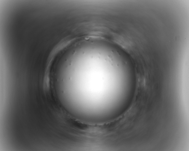 X0000088640294200706011208