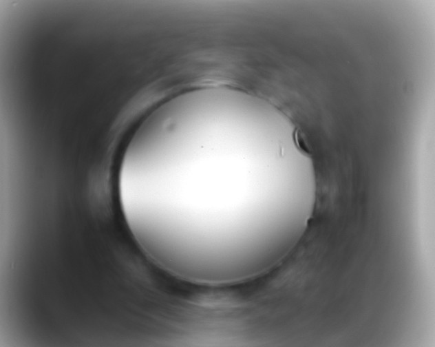 X0000088640296200706011208