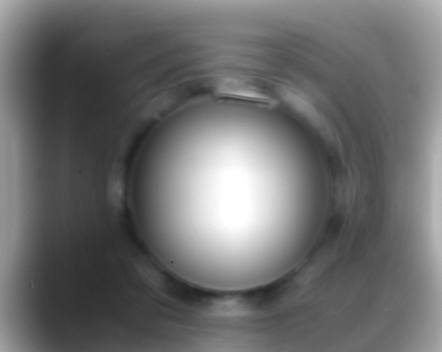 X0000088640309200706011208