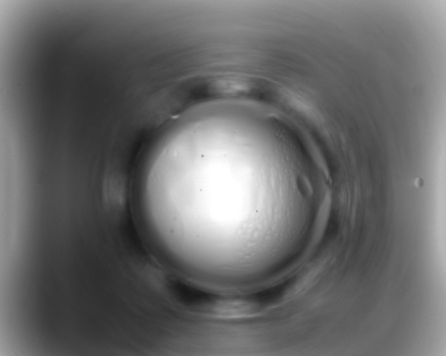 X0000088640315200706011207