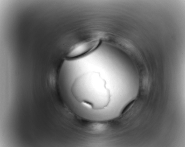X0000088640326200706011207
