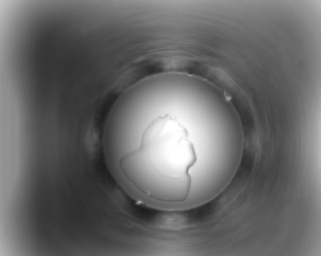 X0000088640327200706011207