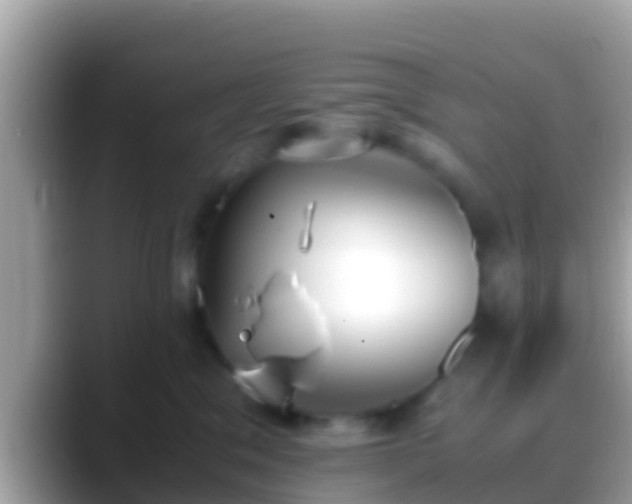 X0000088640329200706011207