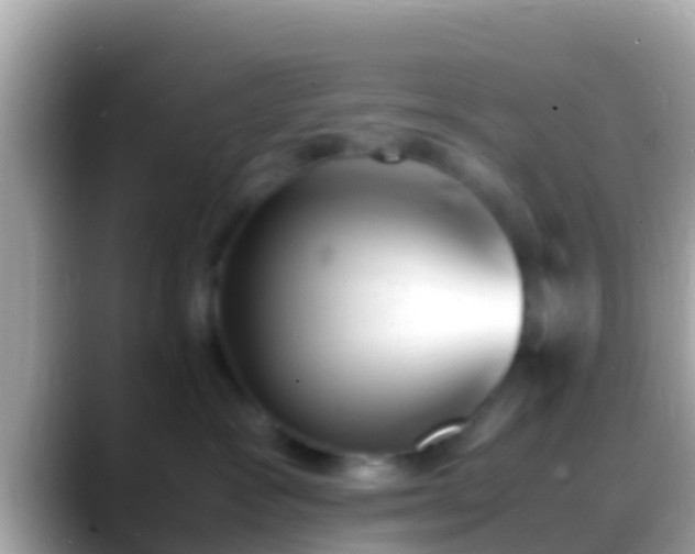 X0000088640333200706011207