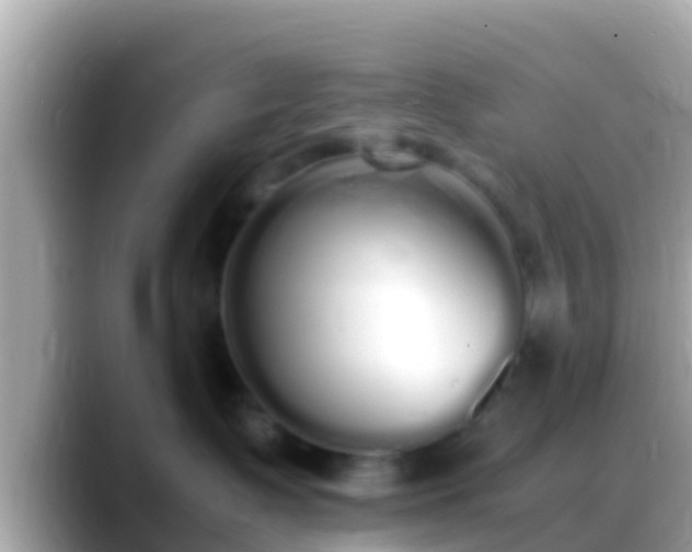 X0000088640335200706011207