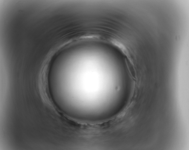 X0000088640337200706011207