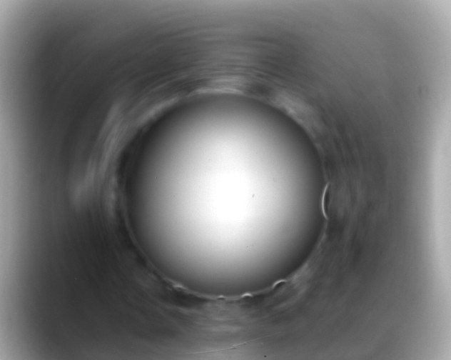 X0000088640338200706011207