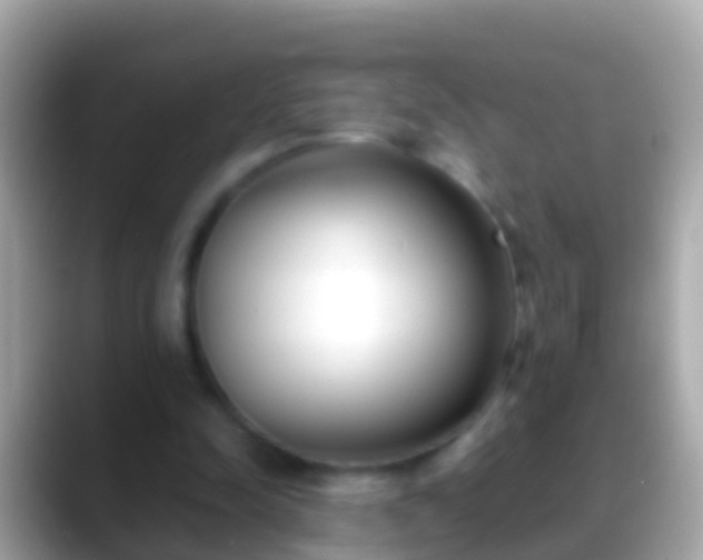 X0000088640342200706011207