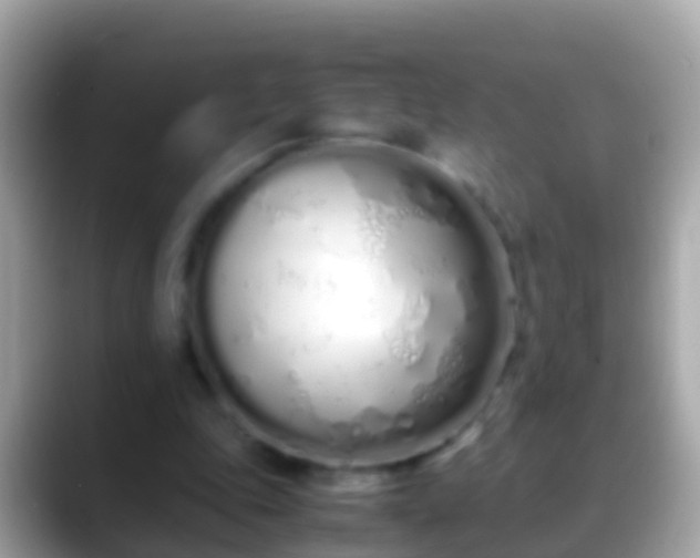X0000088640343200706011207