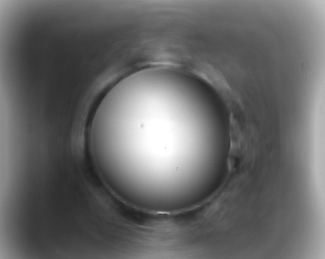 X0000088640344200706011207