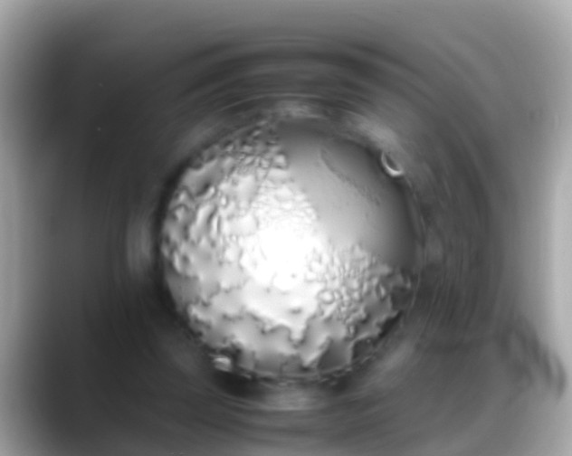 X0000088640347200706011207