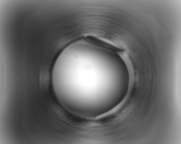 X0000088640348200706011207