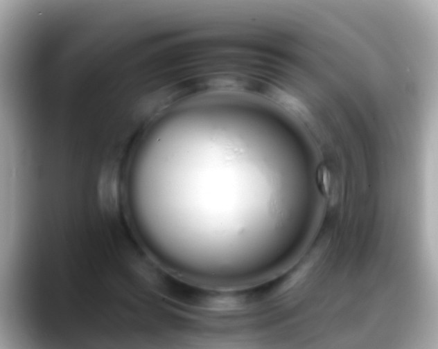 X0000088640349200706011207