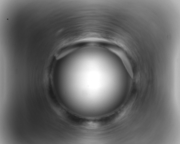X0000088640352200706011207