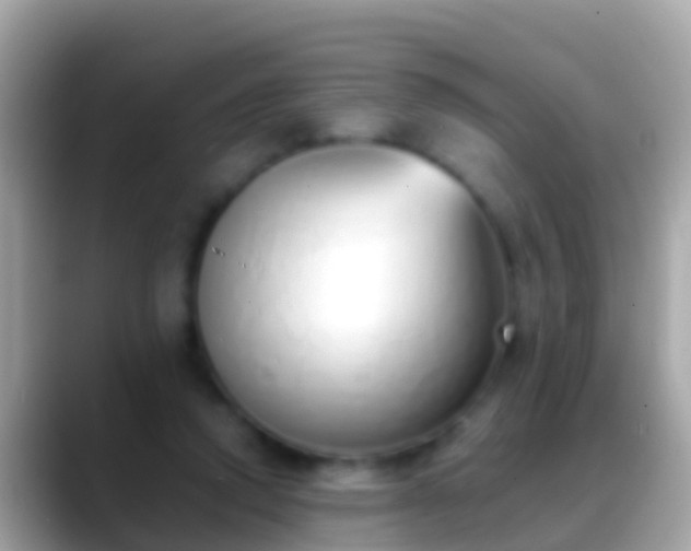X0000088640354200706011207