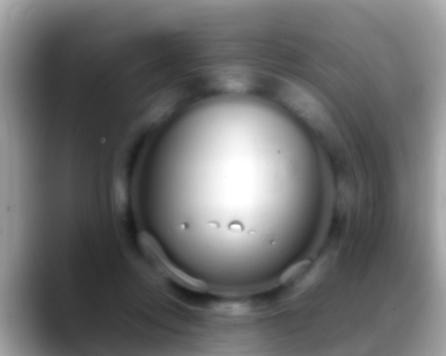 X0000088640358200706011207