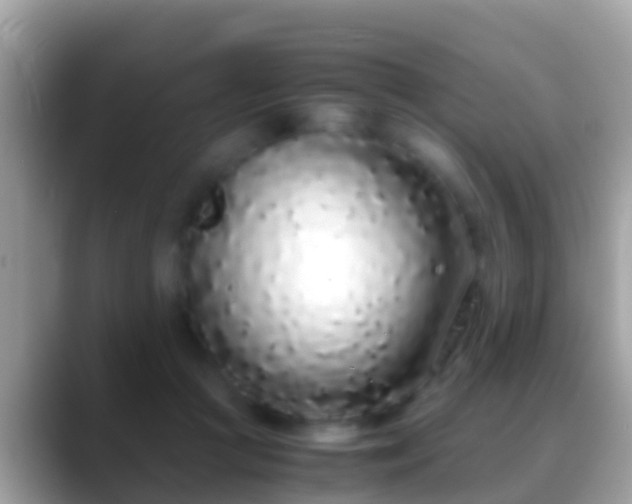 X0000088640361200706011207
