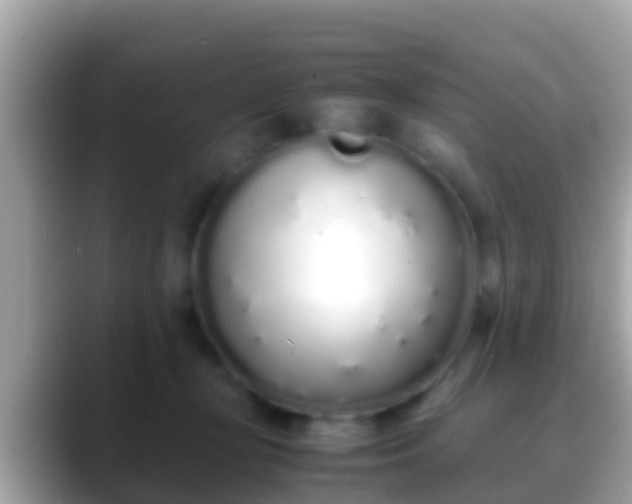 X0000088640367200706011207