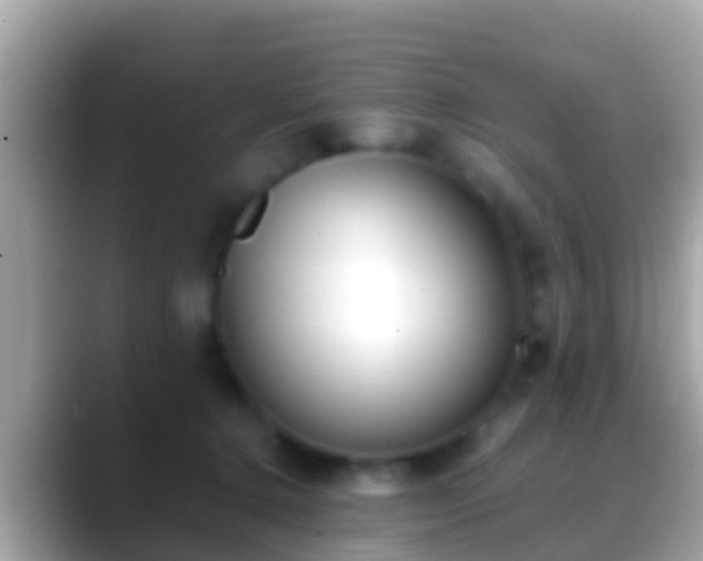 X0000088640368200706011207
