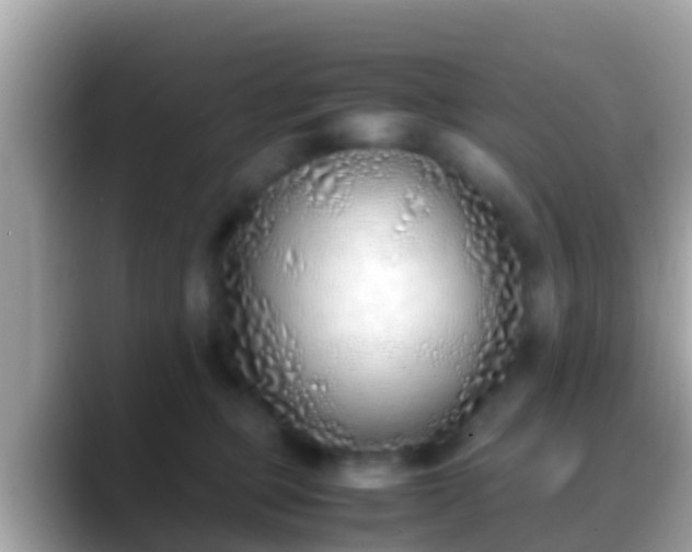 X0000088640373200706011207