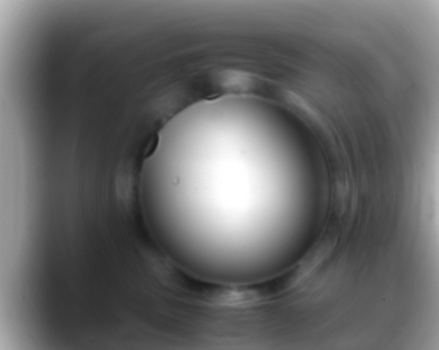 X0000088640379200706011207