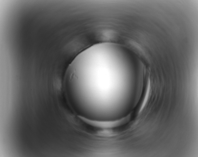 X0000088640380200706011207