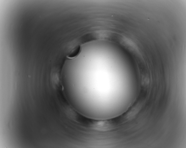 X0000088640382200706011207