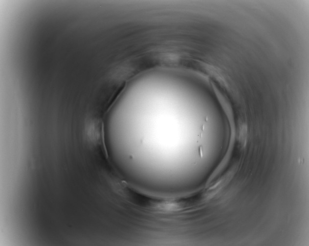 X0000088640383200706011207