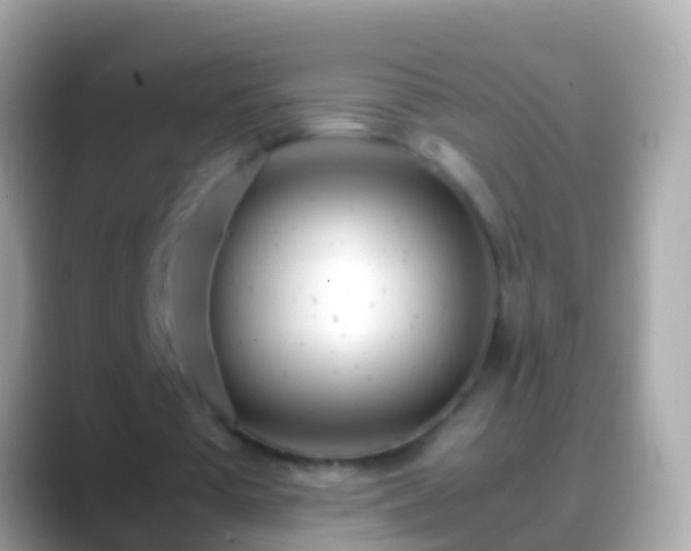 X0000088640385200706011207