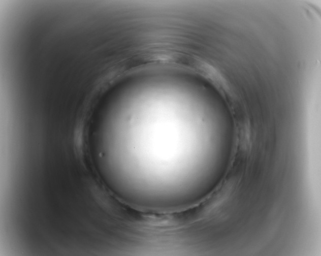 X0000088640386200706011207