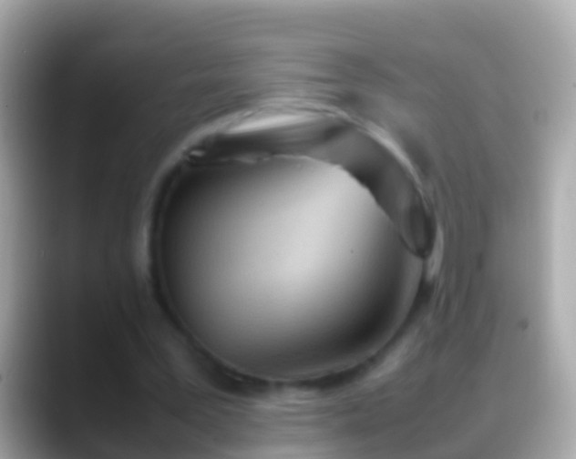 X0000088640387200706011207
