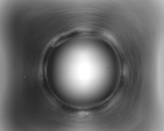 X0000088640388200706011207