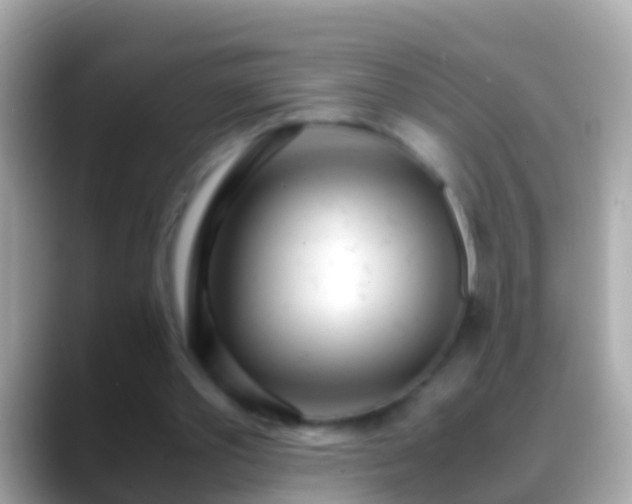 X0000088640389200706011207