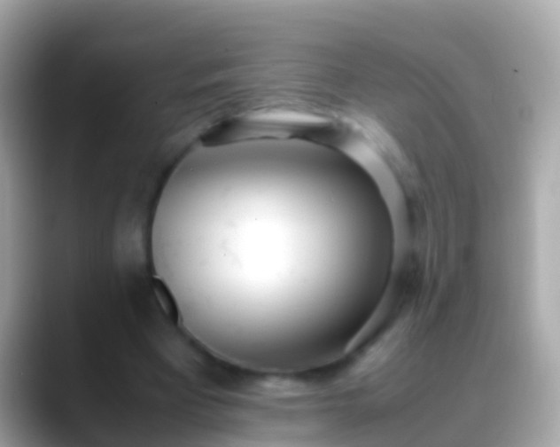 X0000088640393200706011207