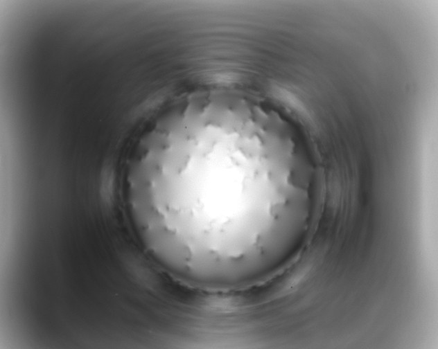 X0000088640394200706011207