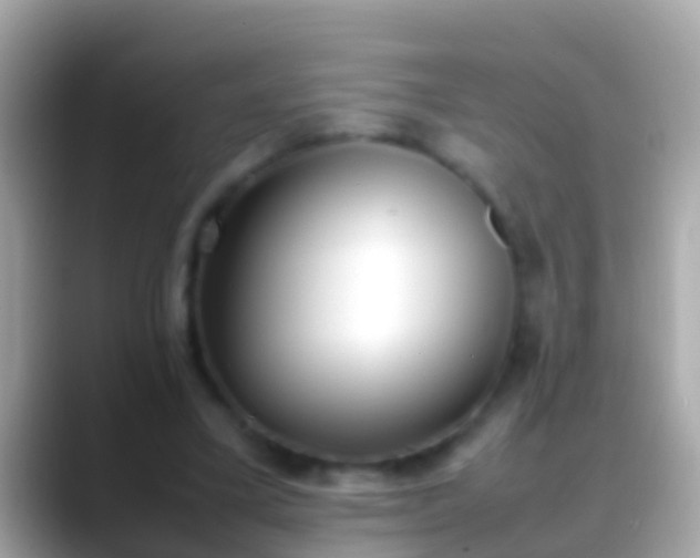 X0000088640395200706011207