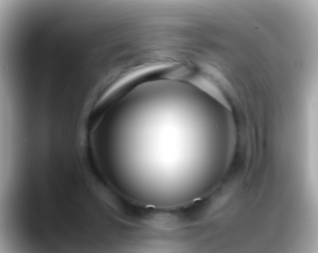 X0000088640399200706011206