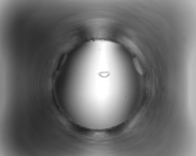 X0000088640401200706011206