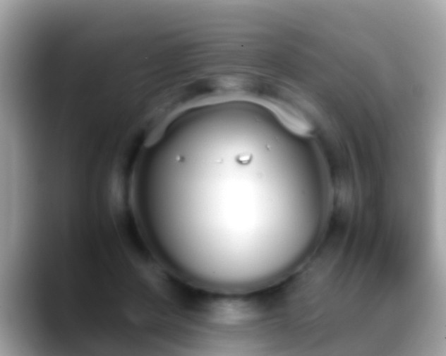 X0000088640408200706011206