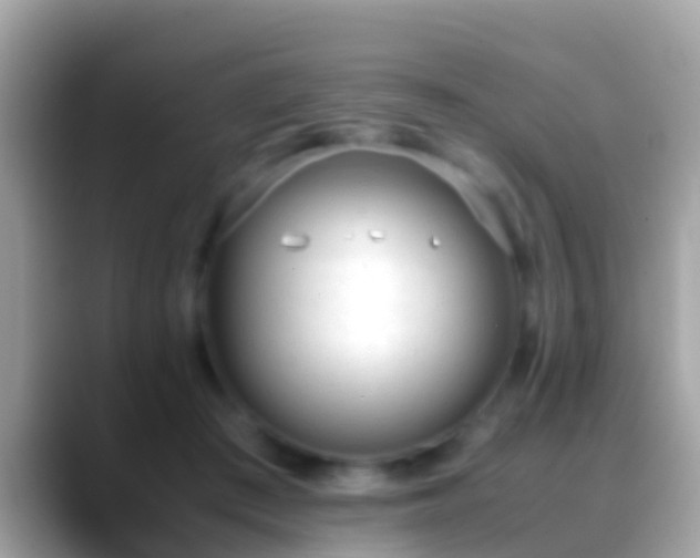 X0000088640409200706011206