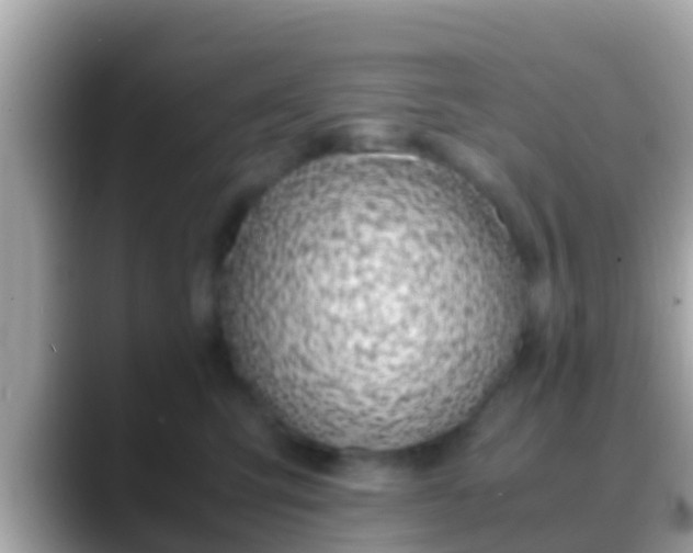 X0000088640423200706011206