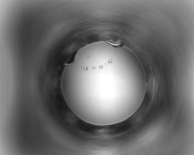 X0000088640430200706011206