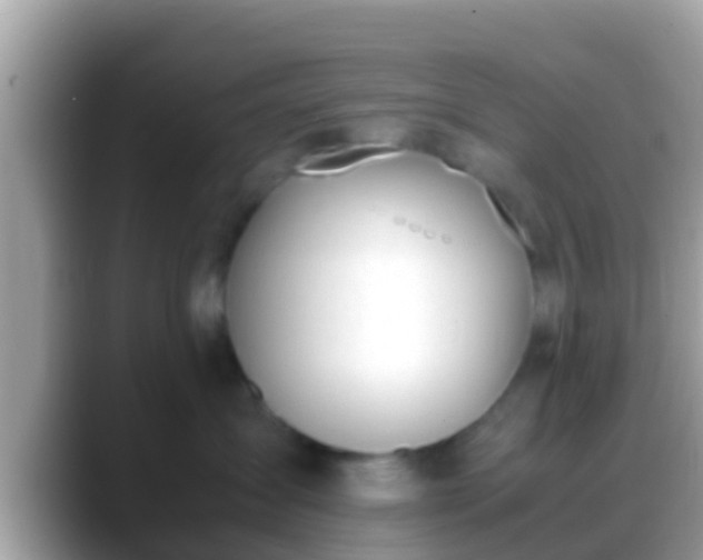 X0000088640431200706011206
