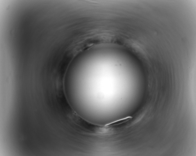 X0000088640432200706011206